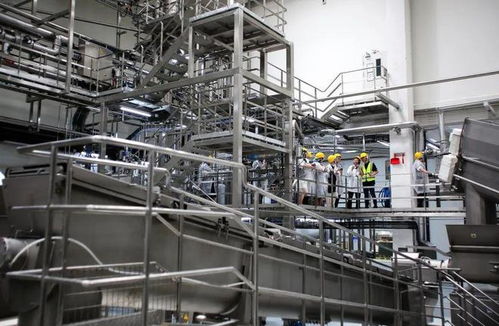 寵物市場(chǎng)“內(nèi)卷”加劇，這家天津軟件企業(yè)亮相亞寵展的破局之道