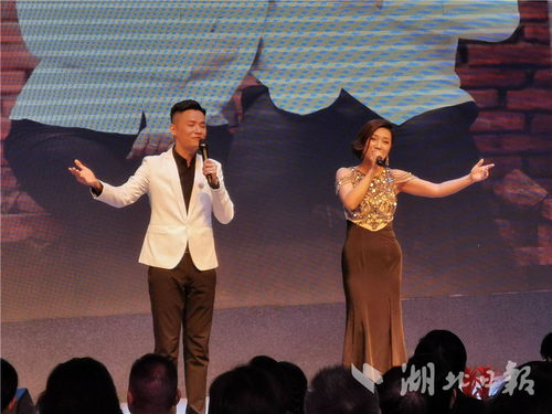 湖北省文藝界原創(chuàng)音樂(lè)作品專題演唱會(huì)成功舉辦，系列公益演出持續(xù)惠民